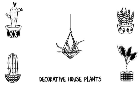 Decorative House Plants in Pots KDP: A Comprehensive Evaluation for Designers and Creators