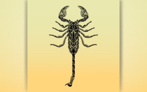 Unlocking Creativity: The Ultimate Guide to the Decorative Scorpion Coloring Page KID